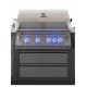 OASIS® Napoleon Barbecue Kitchen for 700 Series BIG32 & 500 BI32