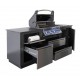 Cuisine extérieure OASISᴹᴰ Compact P500 Napoleon barbecue et Sizzle Zoneᴹᴰ
