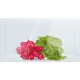 Built-in geladeira com freezer BOSCH KIL24V24FF
